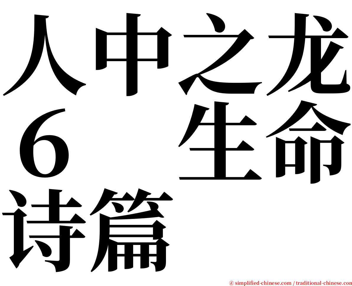 人中之龙６　生命诗篇 serif font